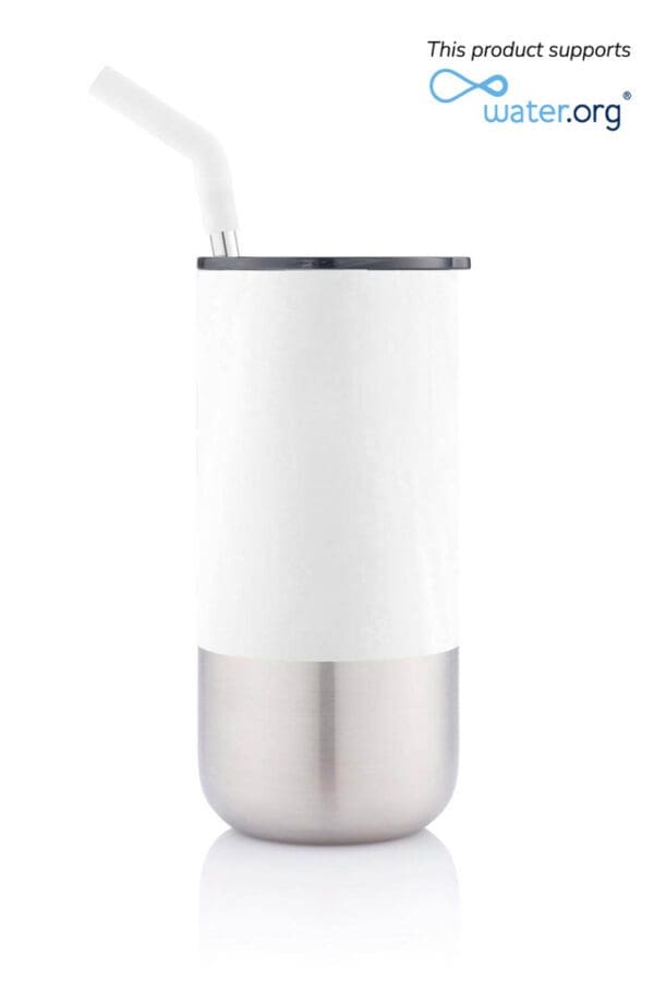 Insulated Tumbler with Reusable Straw