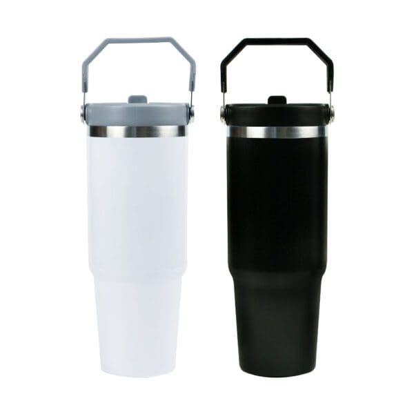 Tumbler with Handle & Straw SS Double Wall