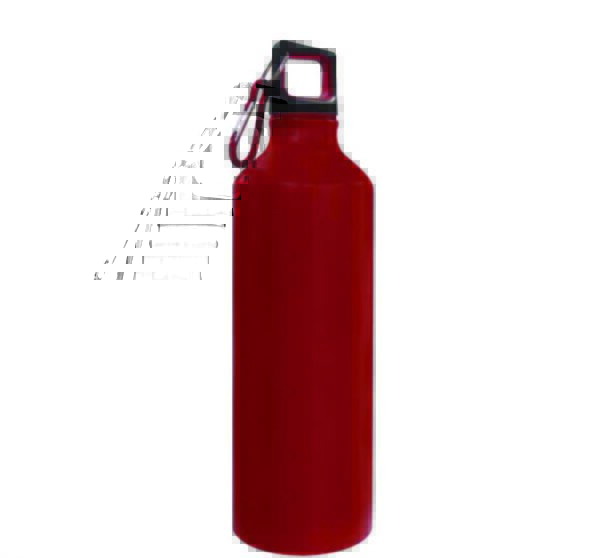 Sports Bottles