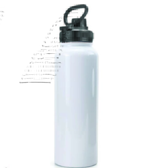 Double Wall Stainless Steel Bottles with Carry Handle