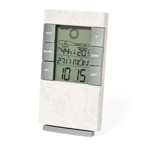 WEATHER STATION MAGINLY