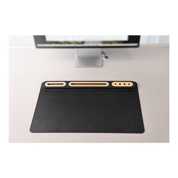SOFTIDESK ORGANIZER