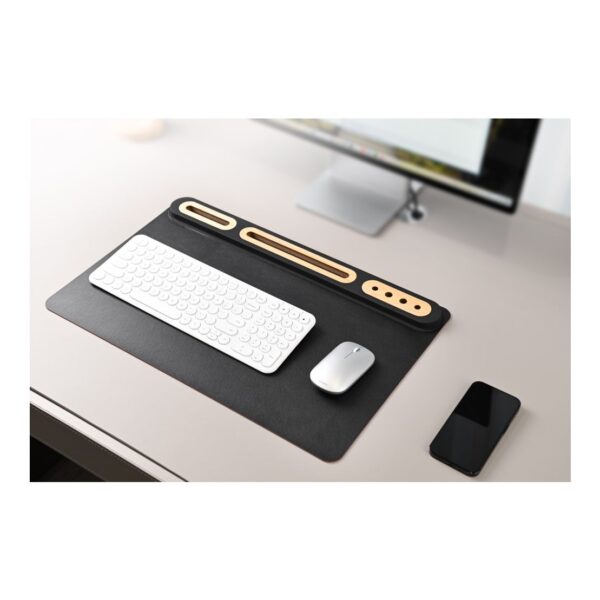 SOFTIDESK ORGANIZER